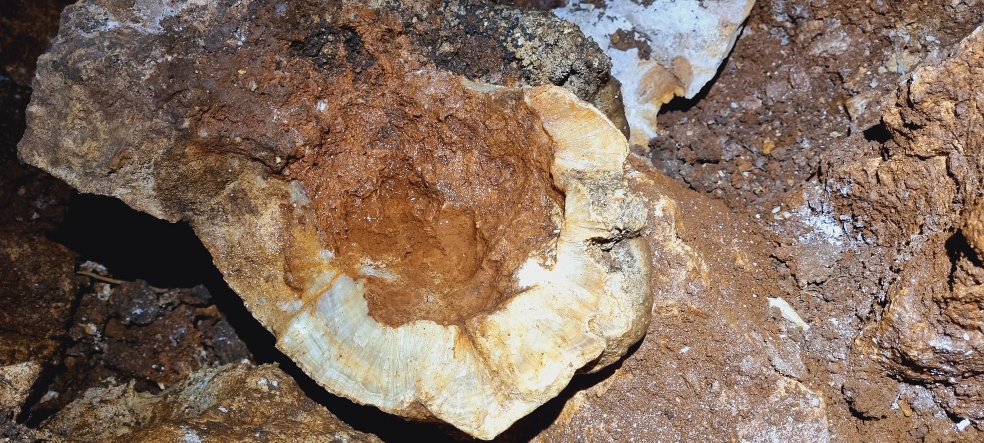 Peștera cu Săritori - Image 3